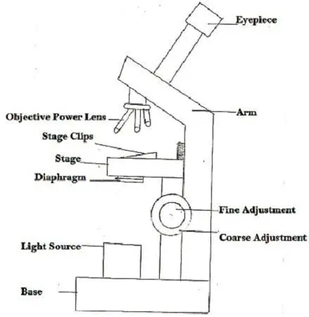 What are disadvantages of light microscopes?
