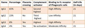 Difference Between IgM and IgG (with Comparison Chart) - Bio Differences