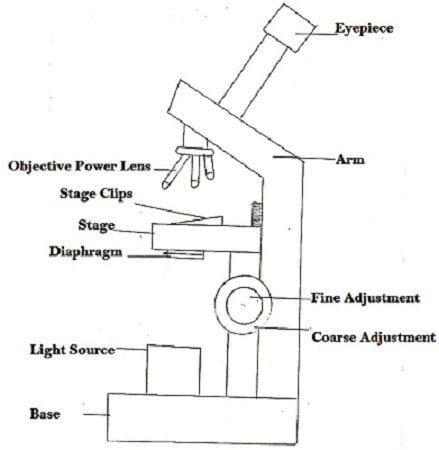 Types Of Microscopes Chart