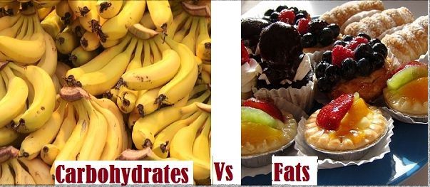 Difference Between Carbohydrates And Fats With Comparison Chart Bio Differences 7519