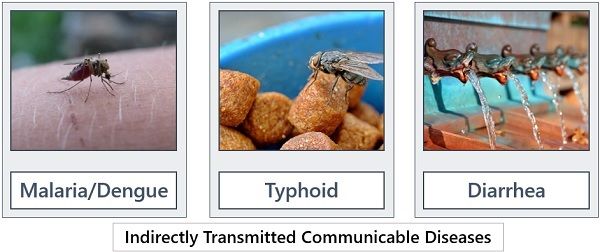 Indirect communicable disease 