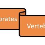 Vertebrates and Invertebrates