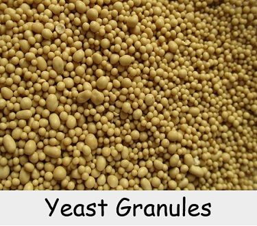Yeast Granules