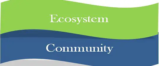 Difference Between Ecosystem and Community (with ...