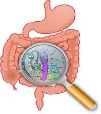 Difference Between Diarrhea and Dysentery (with Comparison ...