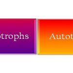 Heterotrophs_Vs_Autotrophs_featured