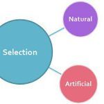 Natural_Vs_Artificial_featured