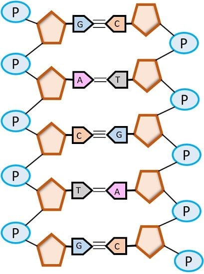 double stranded DNA