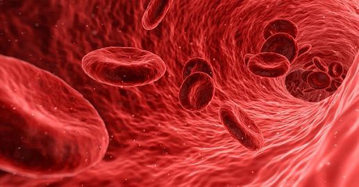 hemoglobin_Vs_myoglobin_content