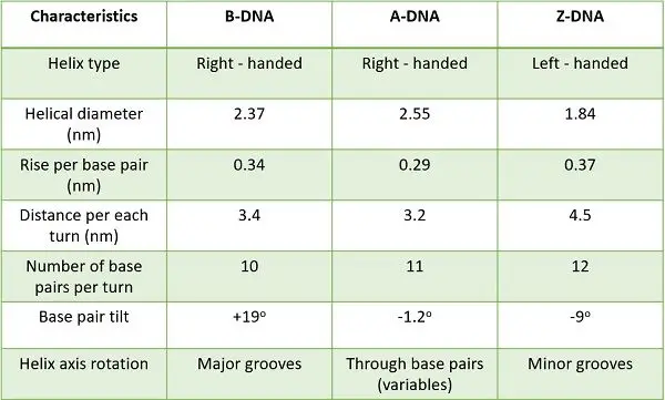 types of DNA comparison chart