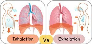 Difference Between Inhalation and Exhalation (with Comparison Chart ...