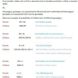 Difference Between Homozygous and Heterozygous (with Comparison Chart