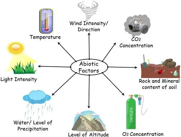 Abiotic factors