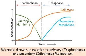 Difference Between Primary Metabolites And Secondary Metabolites (with ...