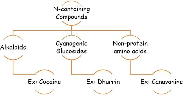 Secondary metabolite nitrogen compounds_types