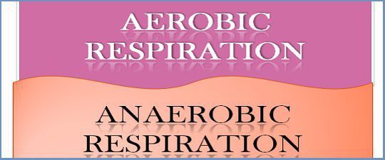 how is aerobic respiration different that anaerobic respiration?