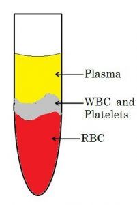 Difference Between Plasma and Serum (with Comparison Chart) - Bio ...