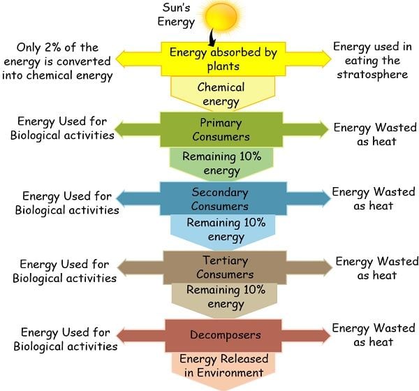 Energy flow