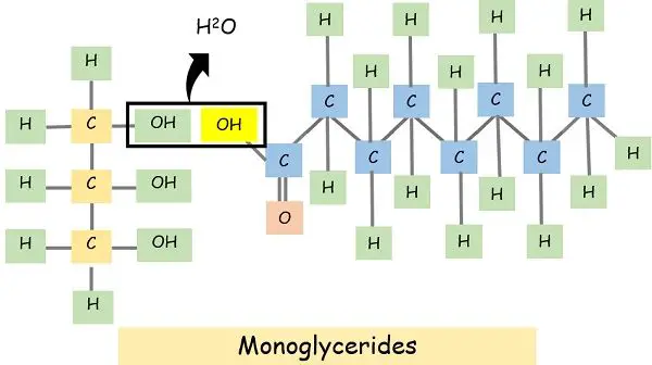 Monoglycerides