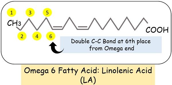 Omega six fatty acid