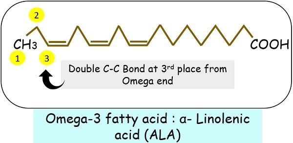 Omega three fatty acid