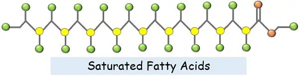 Saturated Fatty acid