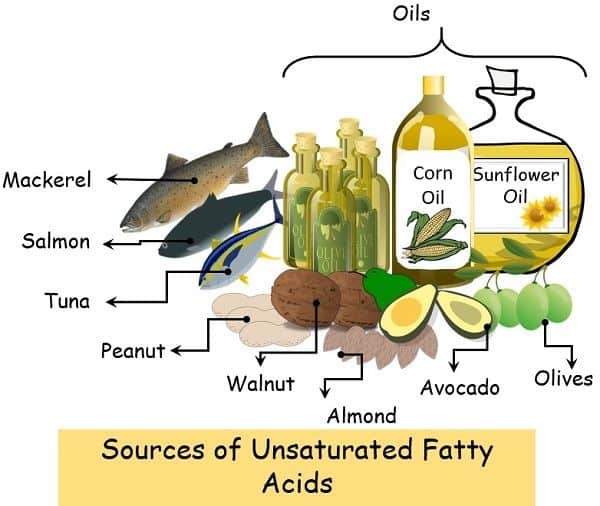 Sources Unsaturated fatty acids