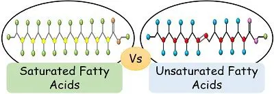 saturated vs unsaturated fats