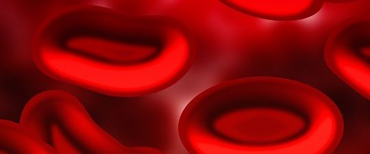 Difference Between Red Blood Cells Rbc And White Blood Cells