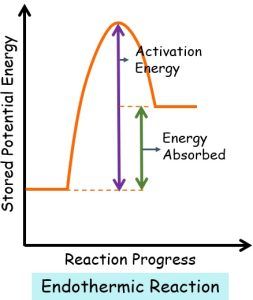 Difference Between Endothermic and Exothermic Reactions (with ...