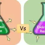 Endothermic vs Exothermic reaction