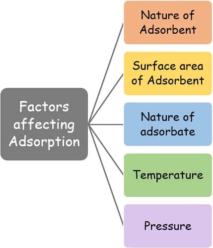 Factors affecting adsorption