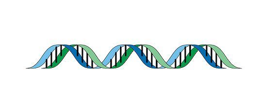 Difference Between Introns And Exons with Comparison Chart Bio 