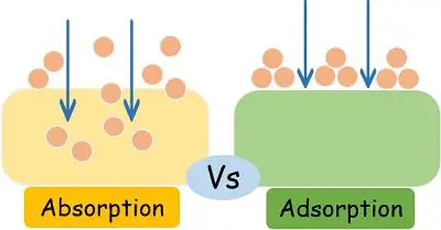 Absorption vs adsorption