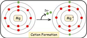 Difference Between Cation and Anion (with Comparison Chart) - Bio ...