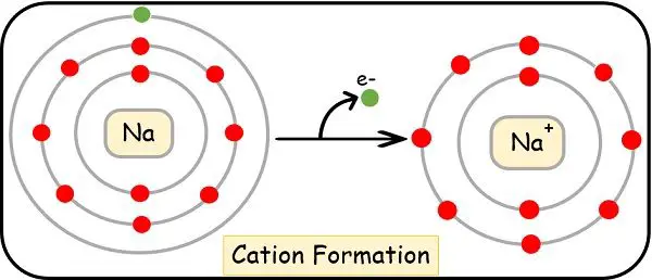 Sodium cation formation