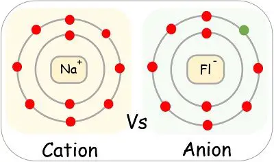 cation vs anions