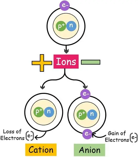Types of ions