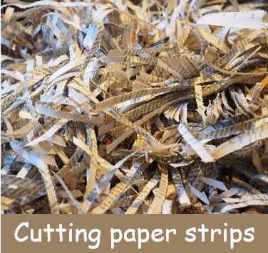 Cutting paper strips physical change