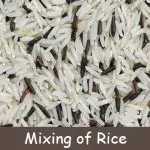 Mixing rice physical change