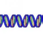 a_b_z_dna_featured_img
