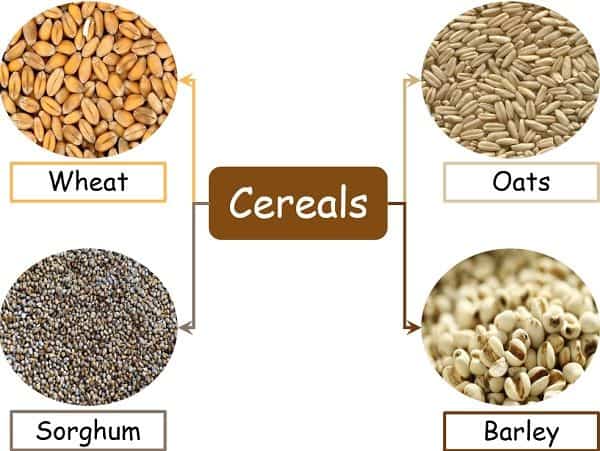 Cereals