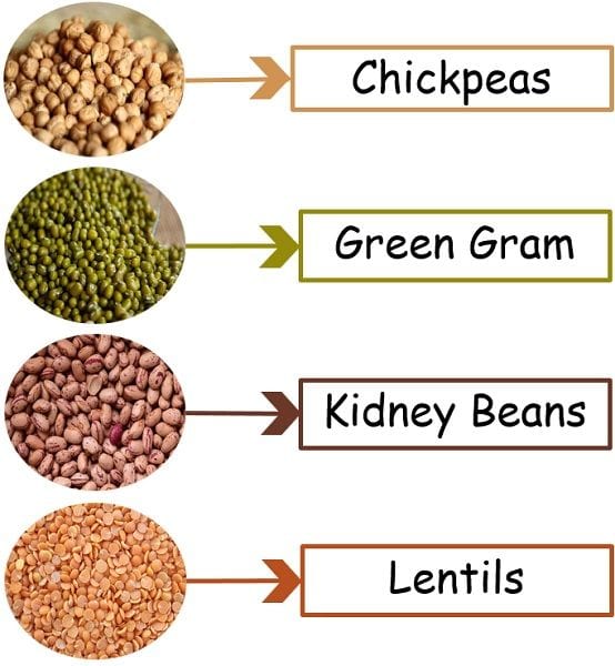 difference-between-cereals-and-pulses-with-comparison-chart-bio