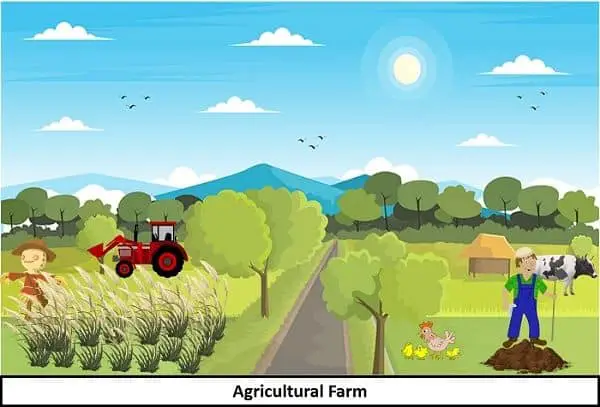 Agricultural farm