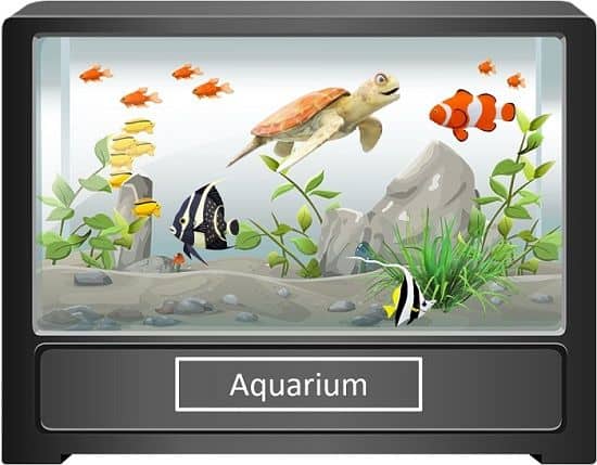 Aquarium