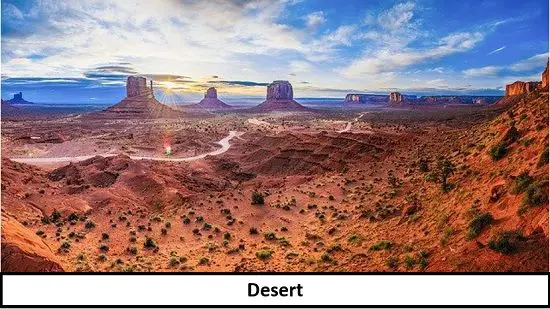 Desert