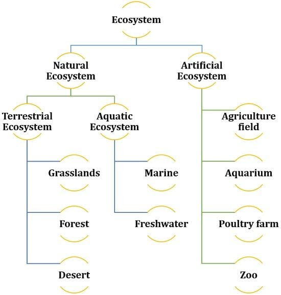 Three Differences Between Natural And Artificial Ecosystem