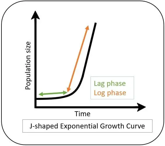 Exponential J shaped curve