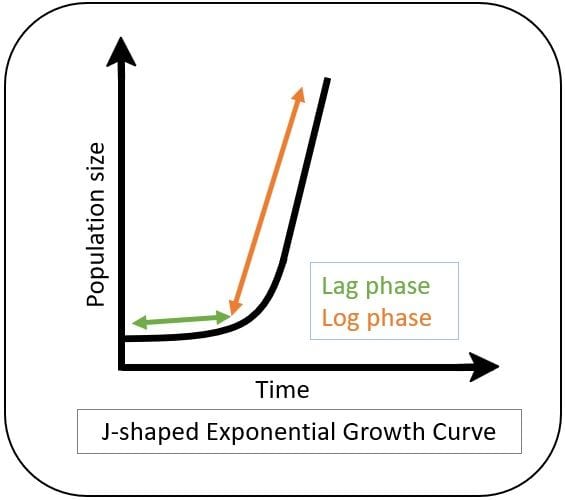 Exponential And Logistic Population Growth