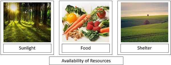 resource availability
